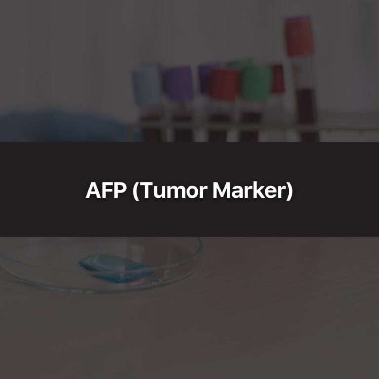 AFP (Tumor Marker)