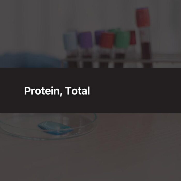 Protein, Total