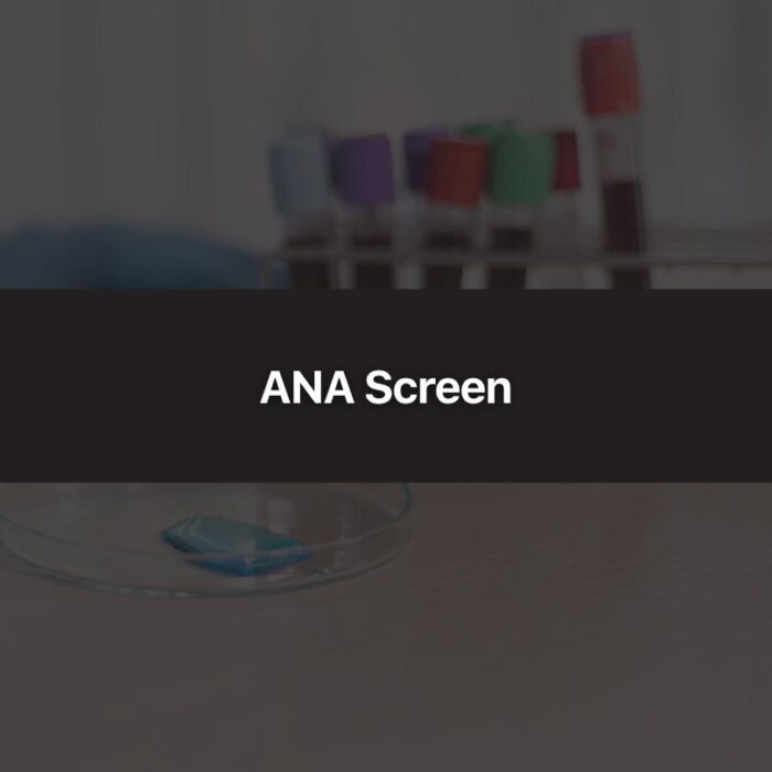 ANA Screen