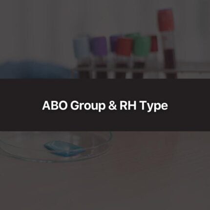 ABO Group & RH Type