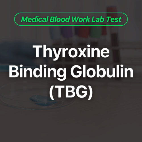Thyroxine Binding Globulin (TBG) Blood Work Test
