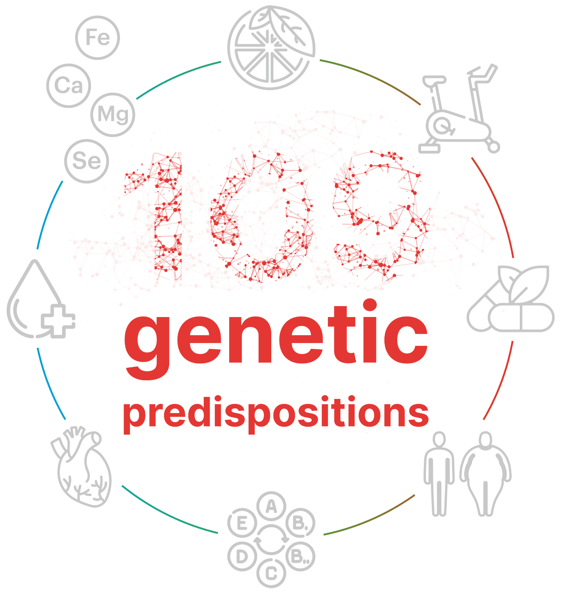 NutriGen Genetic Predispositions