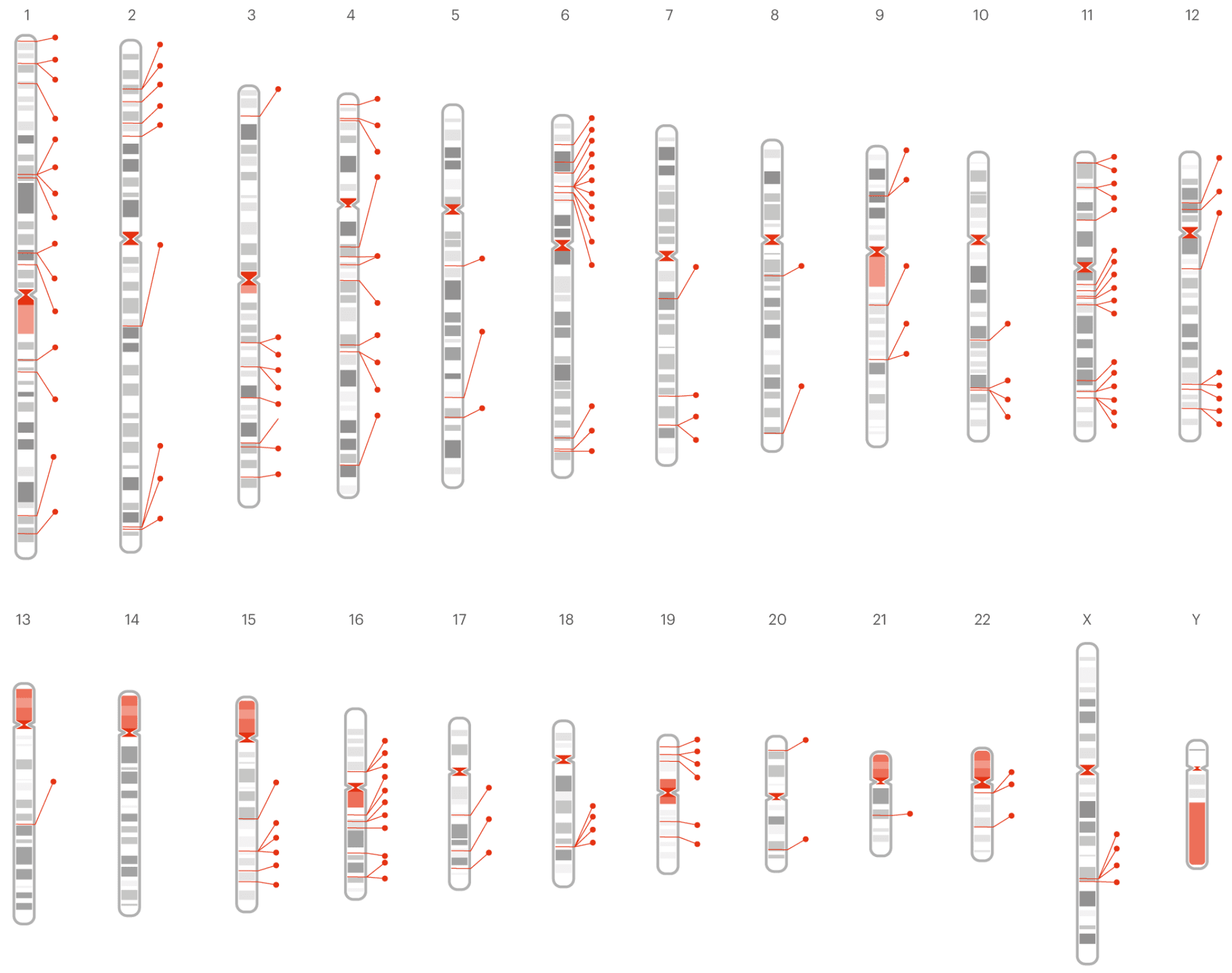 NutriGen Genetic Variations