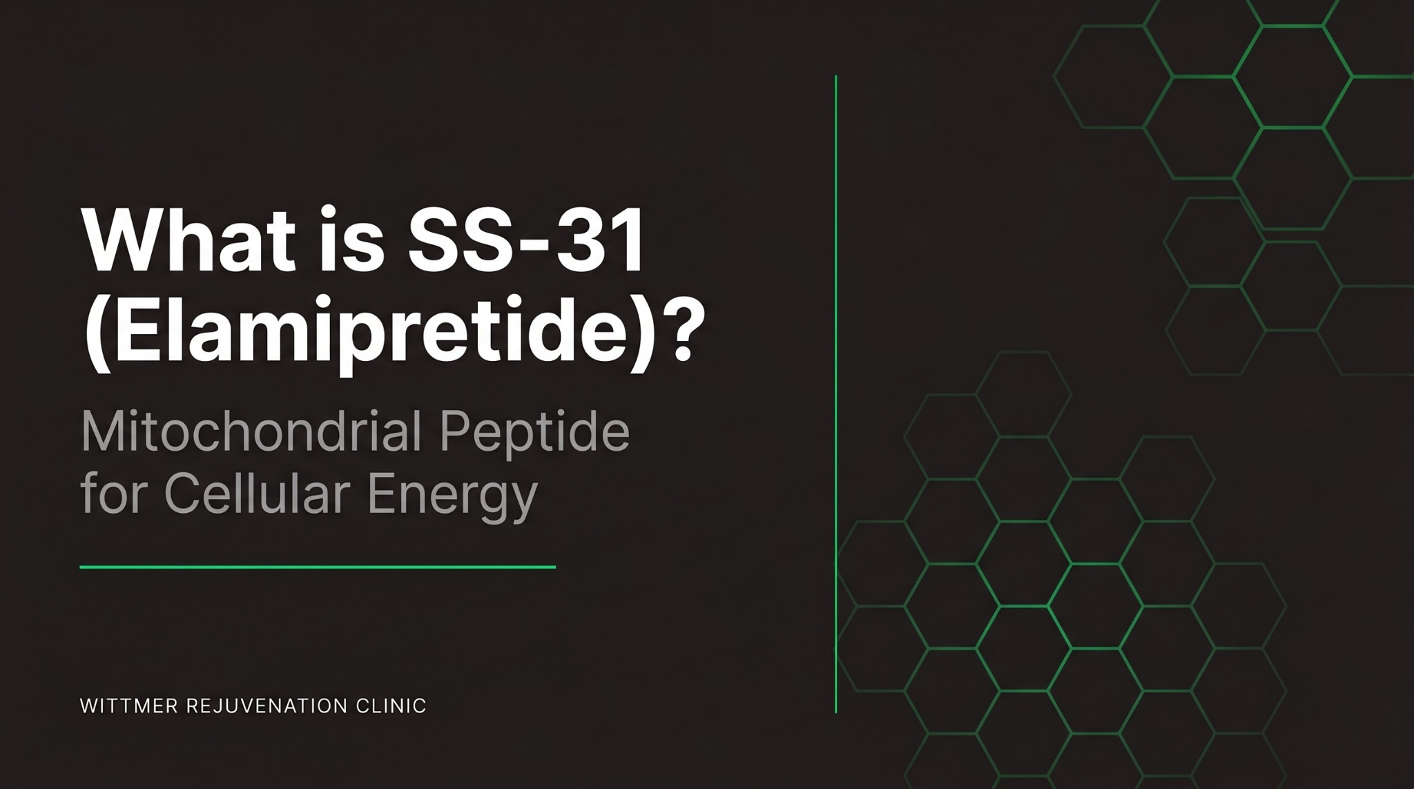What is SS-31 (Elamipretide)? Mitochondrial Peptide for Cellular Energy